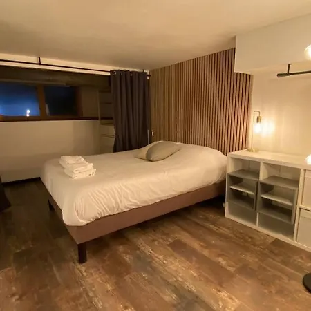 Apartmán Vaste T2 Duplex Beaux Arts - Renaud Lille