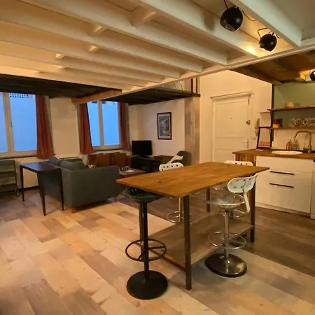 Vaste T2 Duplex Beaux Arts - Renaud * Lille