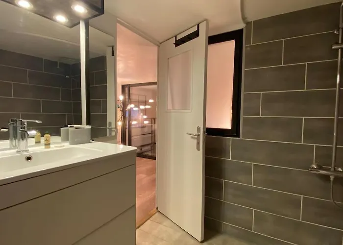 Vaste T2 Duplex Beaux Arts - Renaud *