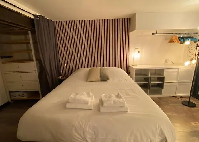 Vaste T2 Duplex Beaux Arts - Renaud * Lille