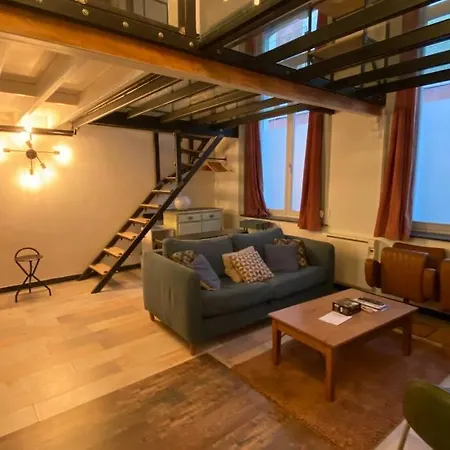 Vaste T2 Duplex Beaux Arts - Renaud